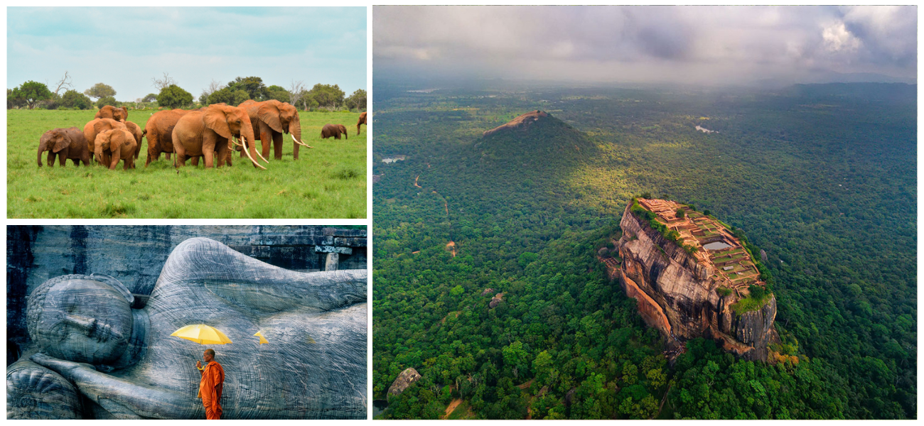 Sri Lanka one day tour packages